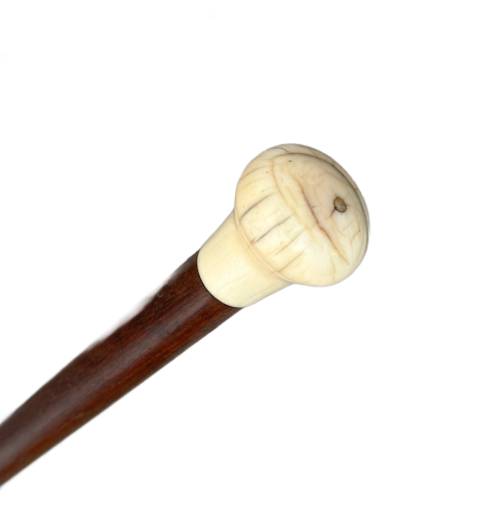 Store Antique walking stick