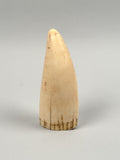 Antique Scrimshaw Tooth of Louis XIV