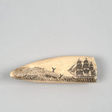 Antique Scrimshaw Tooth with Whaling Scene