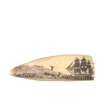 Antique Scrimshaw Tooth with Whaling Scene