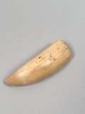 Antique Scrimshaw Tooth with Whaling Scene