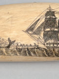 Antique Scrimshaw Tooth with Whaling Scene