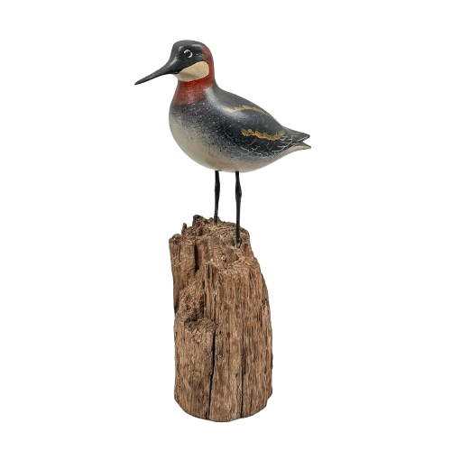 Ruddy Turnstone Bird Carving by Pat Gardner