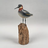 Ruddy Turnstone Bird Carving by Pat Gardner