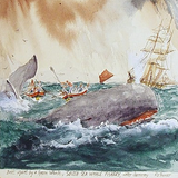 Whaling Scene Watercolor Painting by RV  Prosser